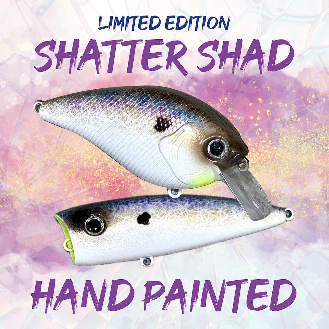 SHATTER SHAD