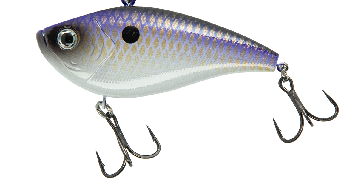 XB-VIBE — XCITE BAITS