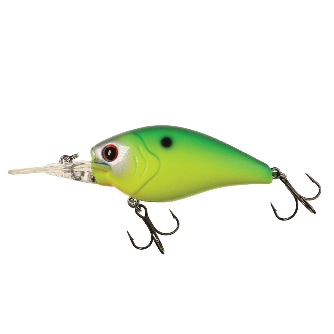 The General – XCITE BAITS